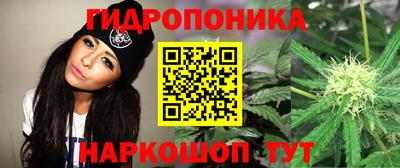 мдпв Славгород
