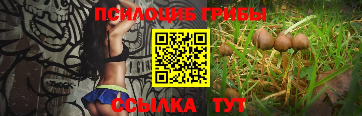 Псилоцибиновые грибы Psilocybe Партизанск